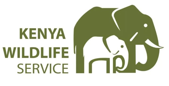 marysafaris-kenyawildlifeservicer