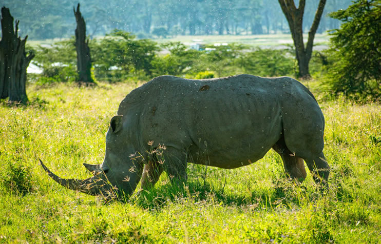 Read more about the article 8 Days Maralal, Turkana,Marsabit, Samburu and Laikipia