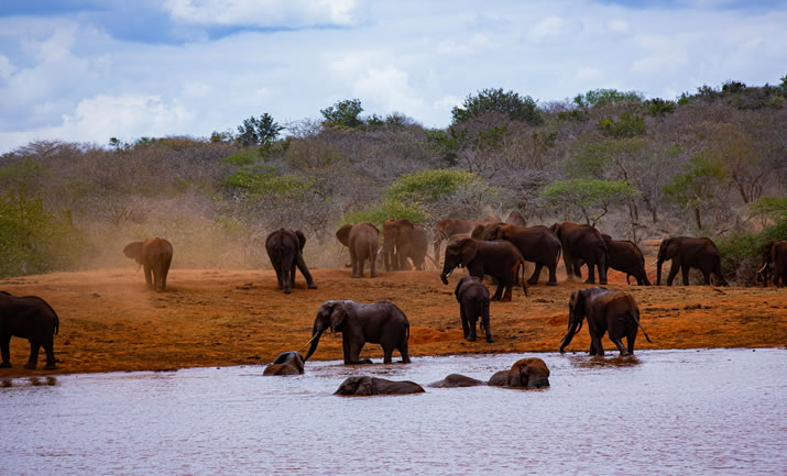 3 Days Tsavo West and Tsavo East