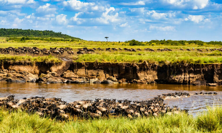 3 days maasai mara eparting mombasa