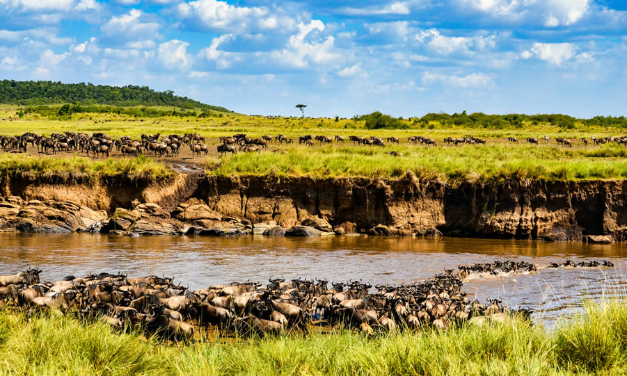 3 days maasai mara eparting mombasa
