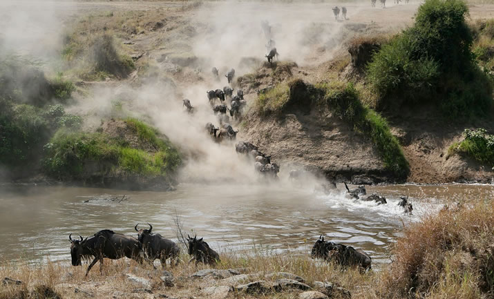 4 Days Maasai Mara and Lake Nakuru National Park