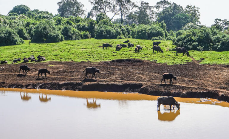 5 Days Aberdare, Samburu Reserve and Mount Kenya National Park