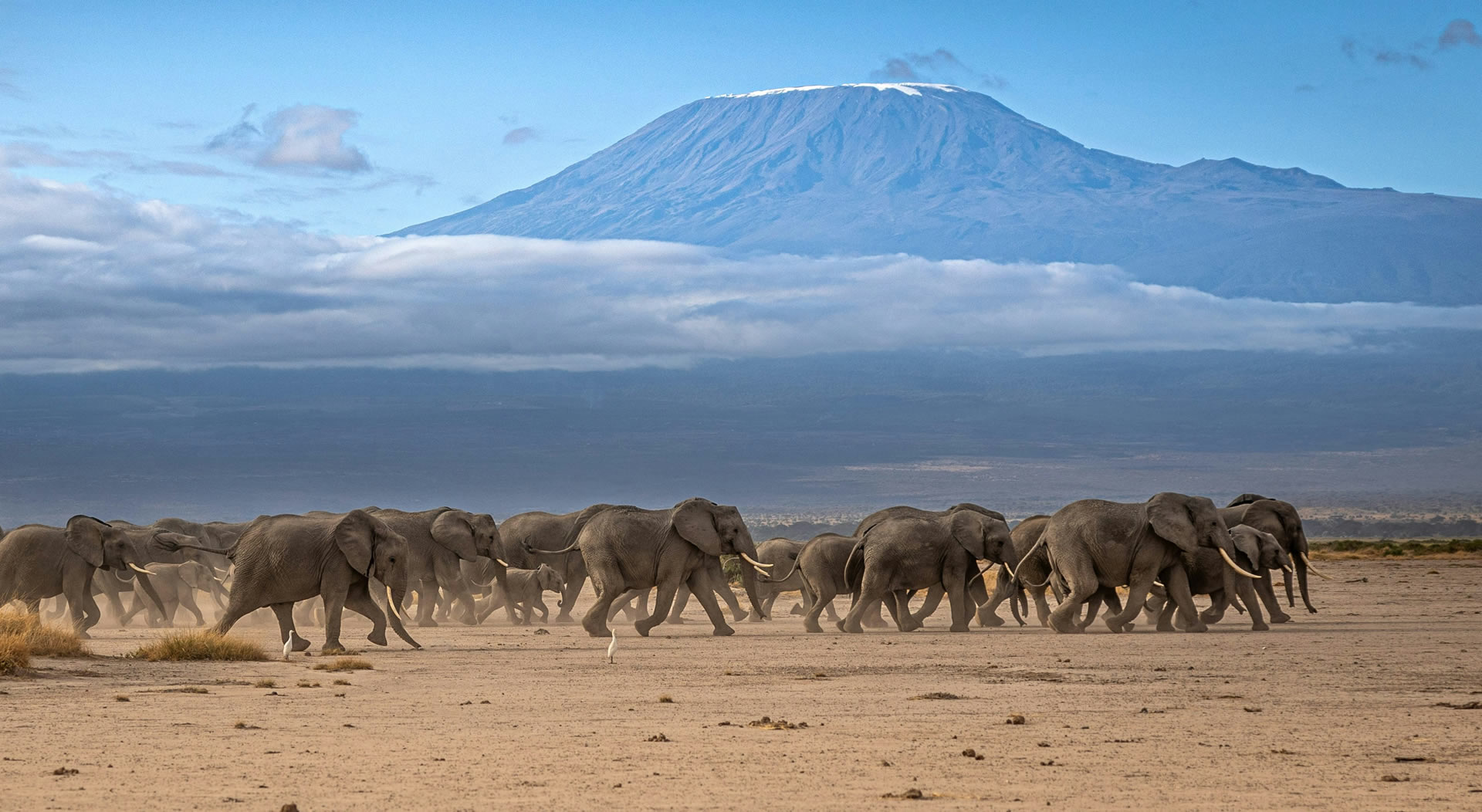Read more about the article Amboseli National Park